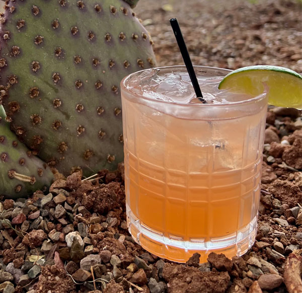 Watermelon Refresher cocktail at Copper Brothel Brewery in Sonoita, AZ